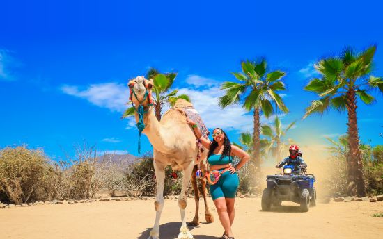 Paseo en camello en Cabo San Lucas