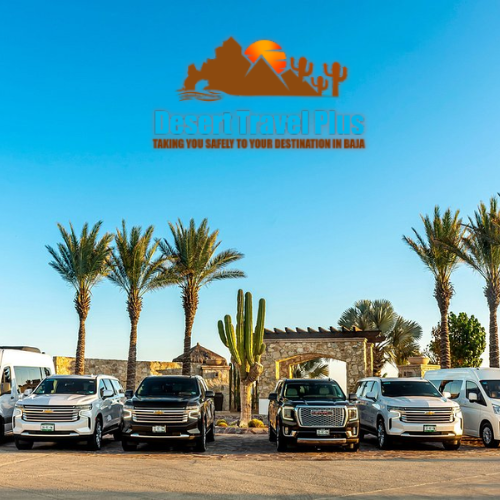 Luxury private transportation vehicle arriving at resort in Los Cabos with palm trees and sunny weather